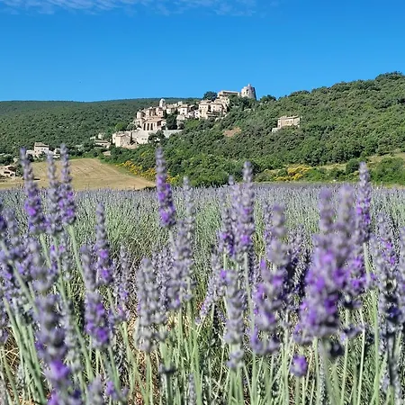 Maisonnette Provencale Simiane-la-Rotonde Exterior photo