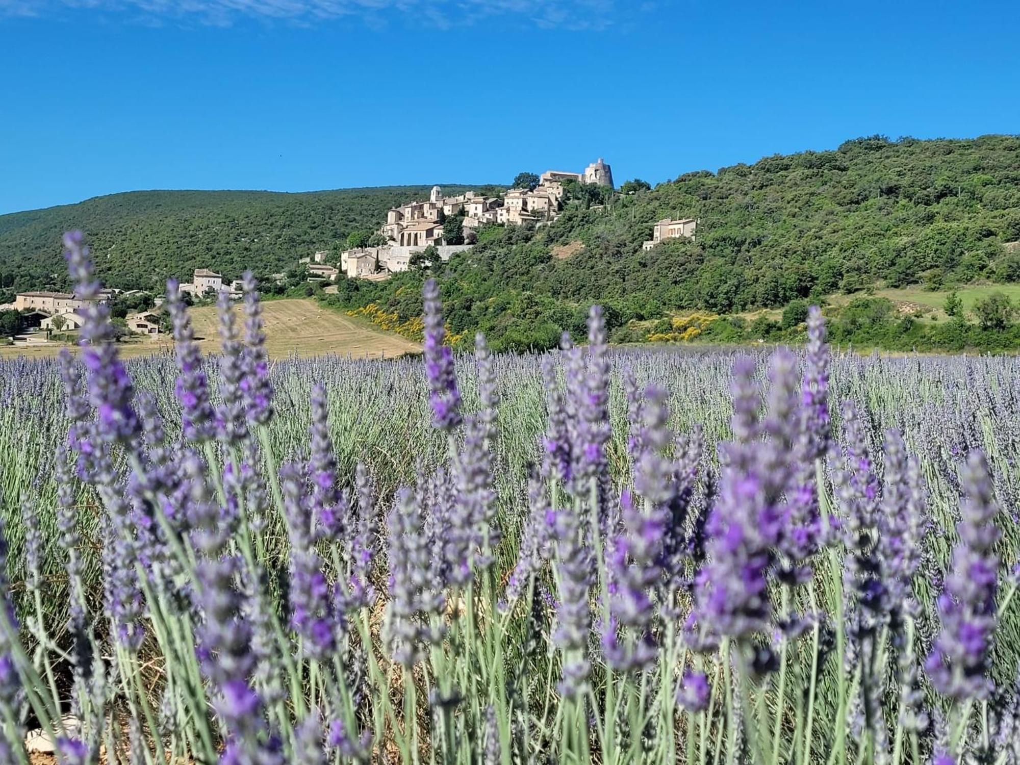 Maisonnette Provencale * Simiane-la-Rotonde